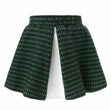 Mini Circle Skirt In Green and White